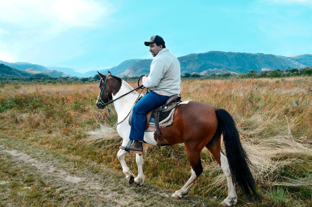 Are There Horseback Riding Opportunities In The Park?