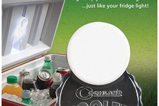 coghlans inside cooler lid light gray